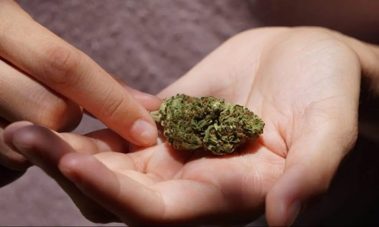 What Is HHC And Why Would You Want To Implement It?